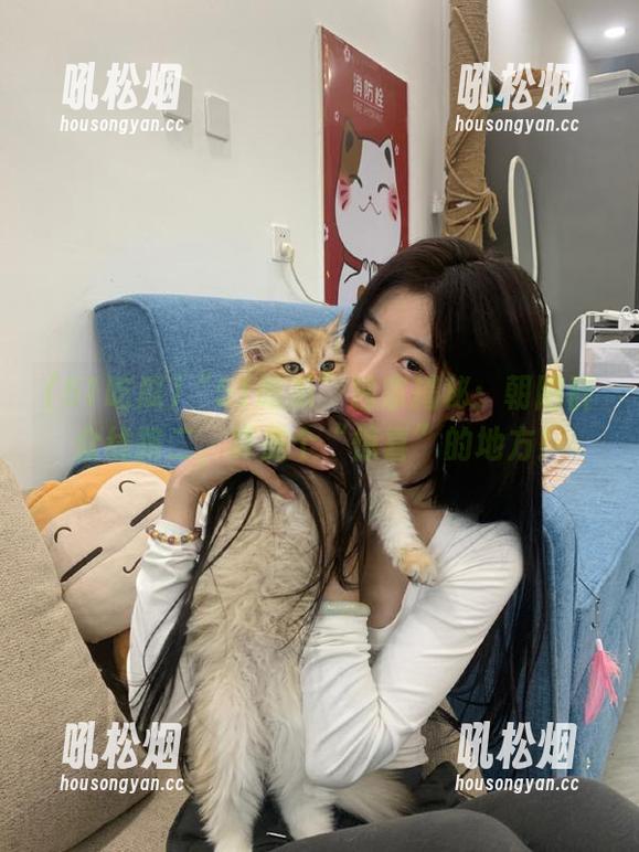 “51吃瓜”独家揭秘：朝阳群众线路二，真是个“惊喜”的地方！