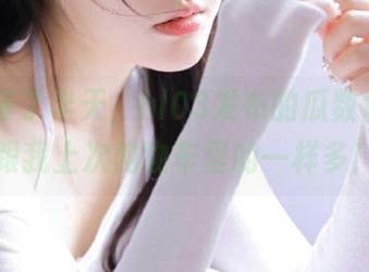 等了半天，hl03发布的瓜数量居然跟我上次购物车里的一样多！