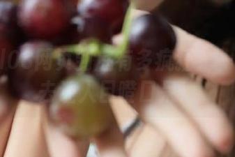 hl03网页到底有多疯狂？一波瓜下去让人目瞪口呆！