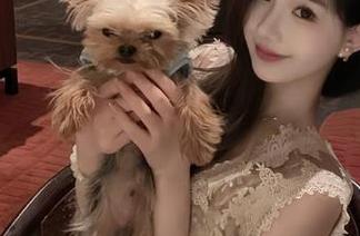 在天天吃瓜网，收藏的不止是瓜，还有那些让人无奈的心情…