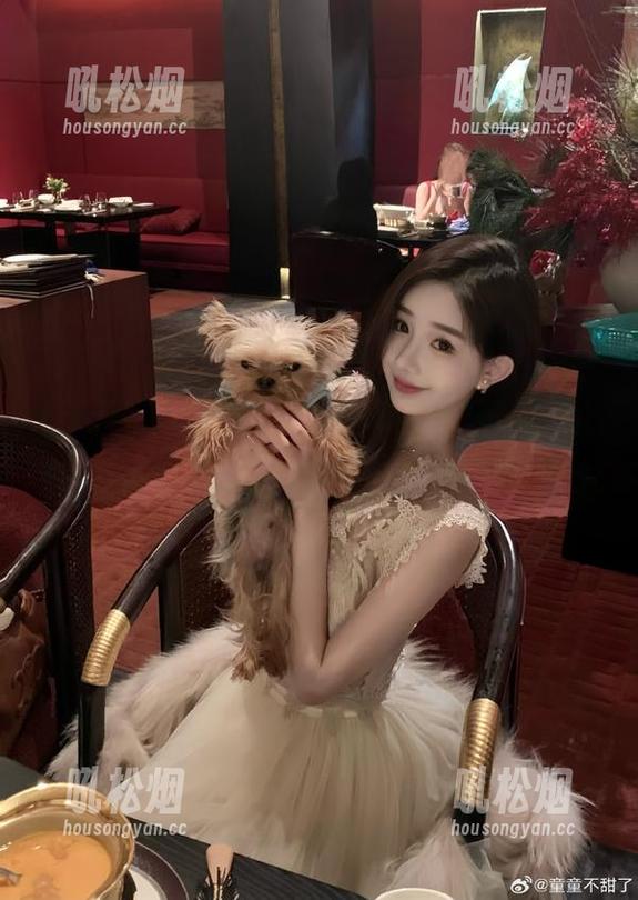 在天天吃瓜网，收藏的不止是瓜，还有那些让人无奈的心情...